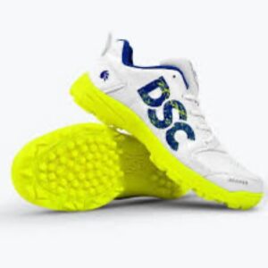 DSC Beamer shoe
