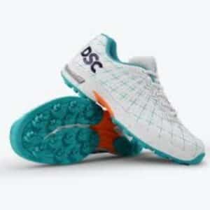 DSC Biffer Shoe